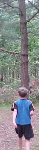 Skovskolebillede 1999